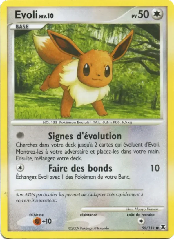 Carte Evoli Niv. 10