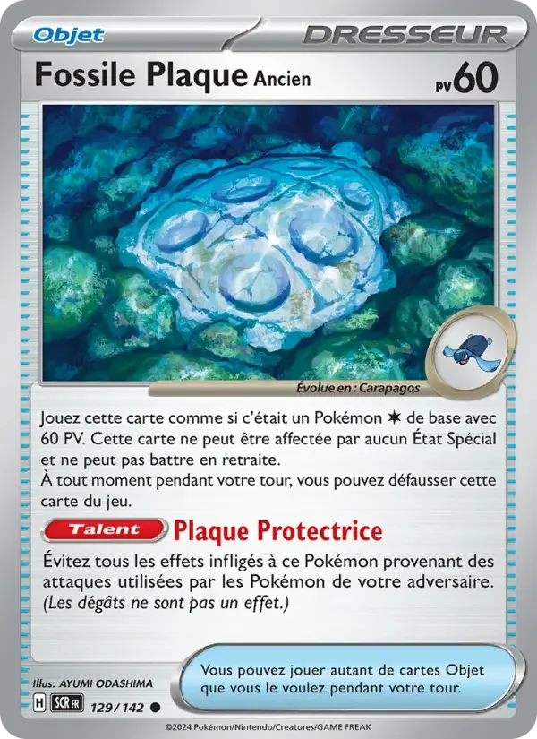 Carte Fossile Plaque Ancien