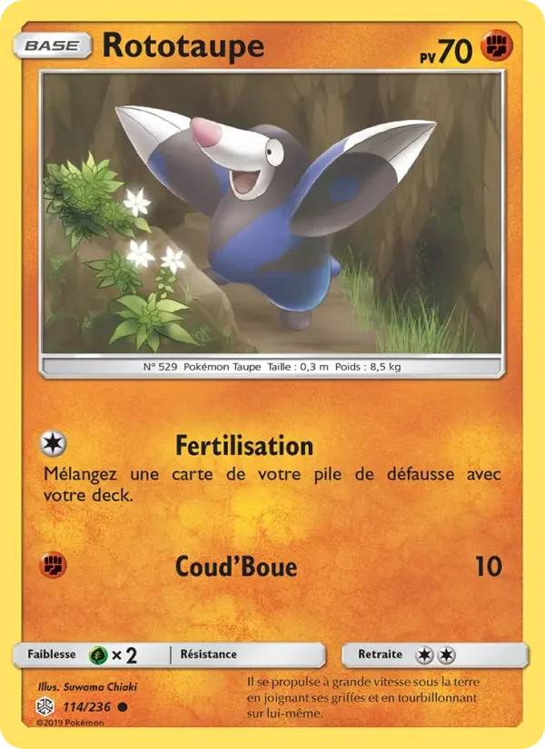 Carte Rototaupe