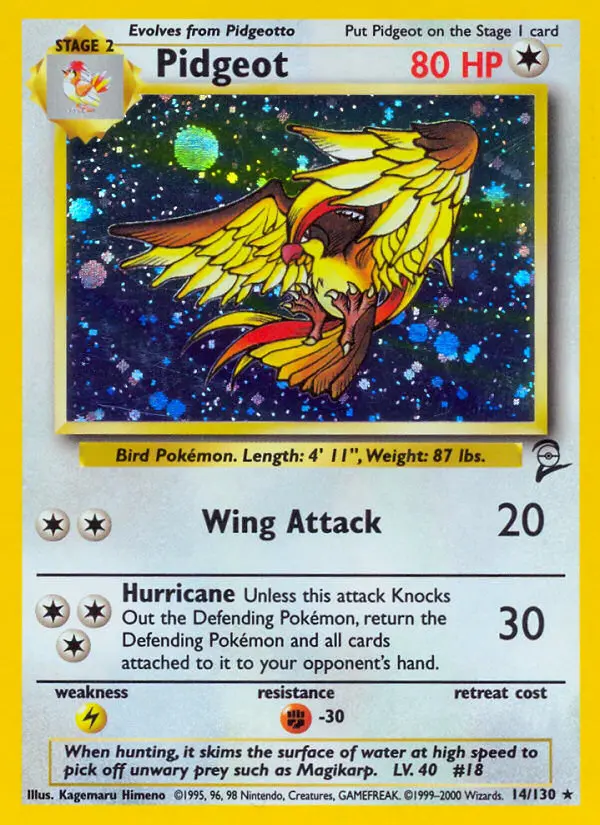 Carte Pidgeot
