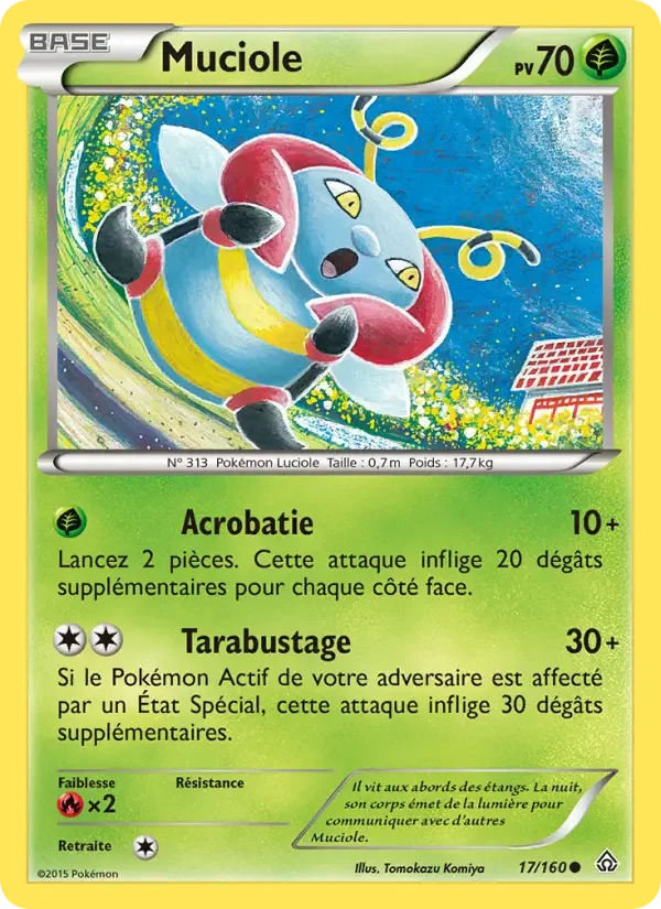 Carte Muciole