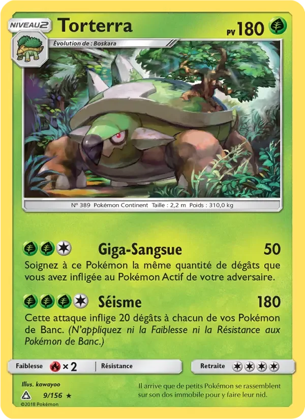 Carte Torterra