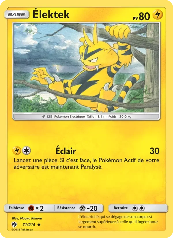 Carte Élektek