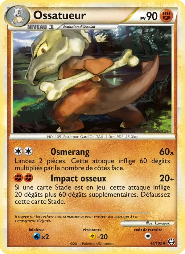Carte Ossatueur