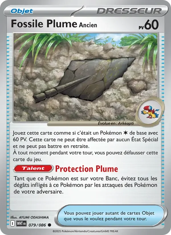 Carte Fossile Plume Ancien