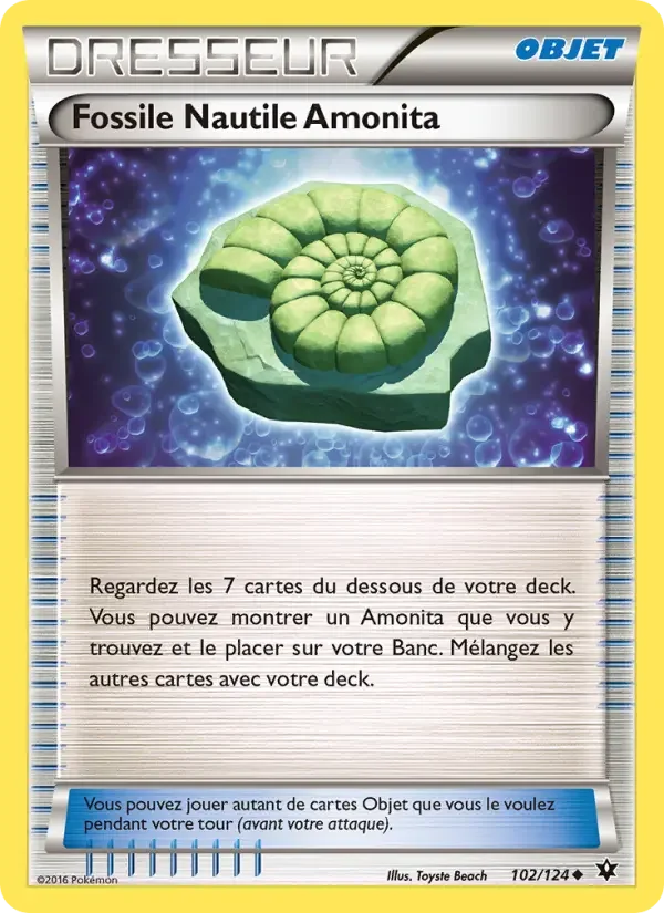Carte Fossile Nautile Amonita