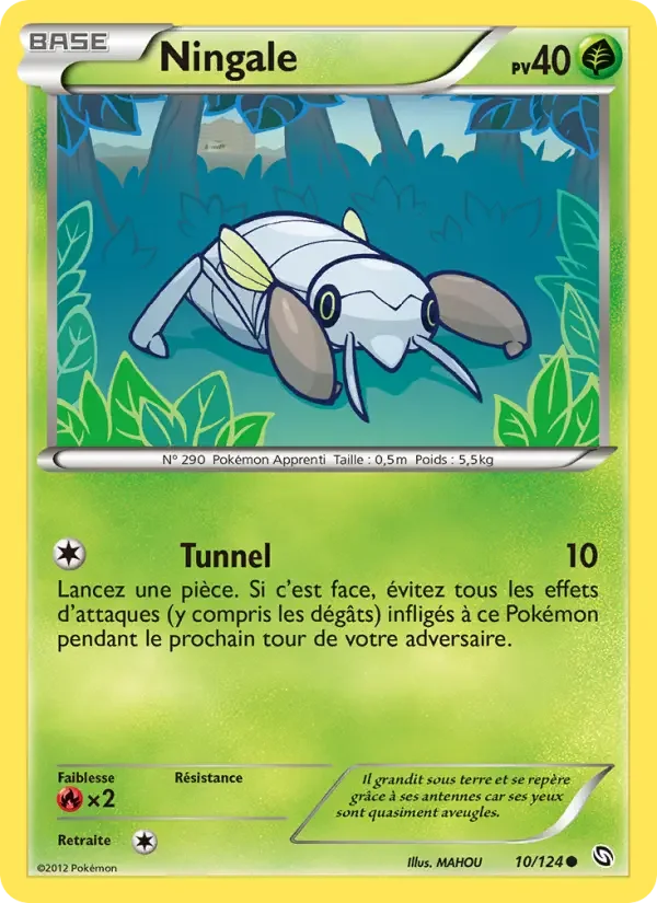 Carte Ningale