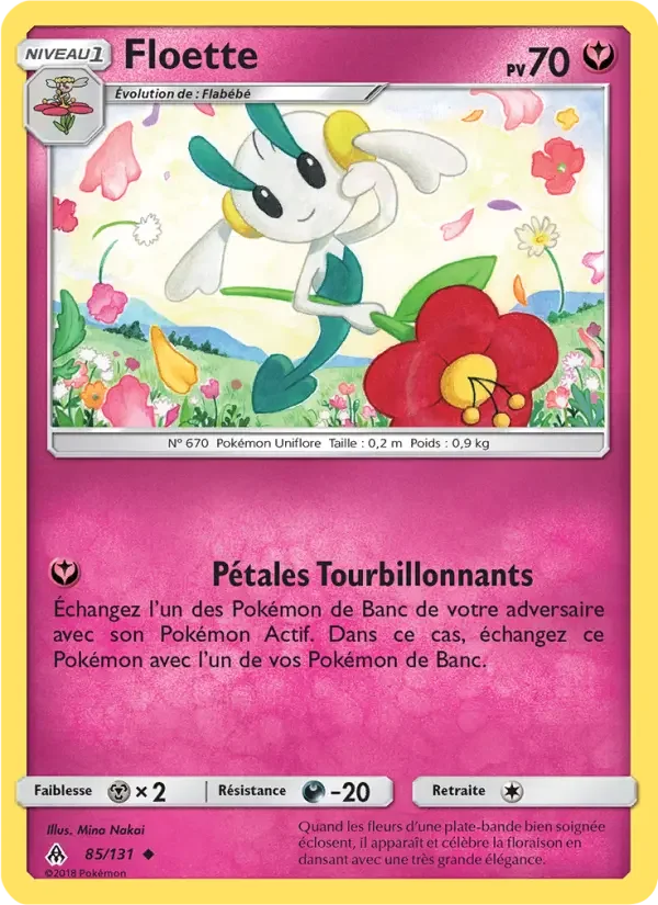 Carte Floette