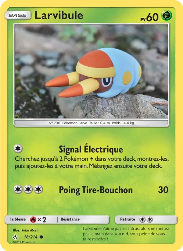 Carte Larvibule