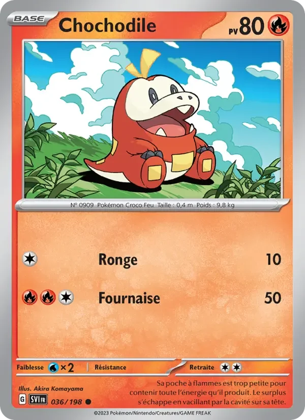 Carte Chochodile