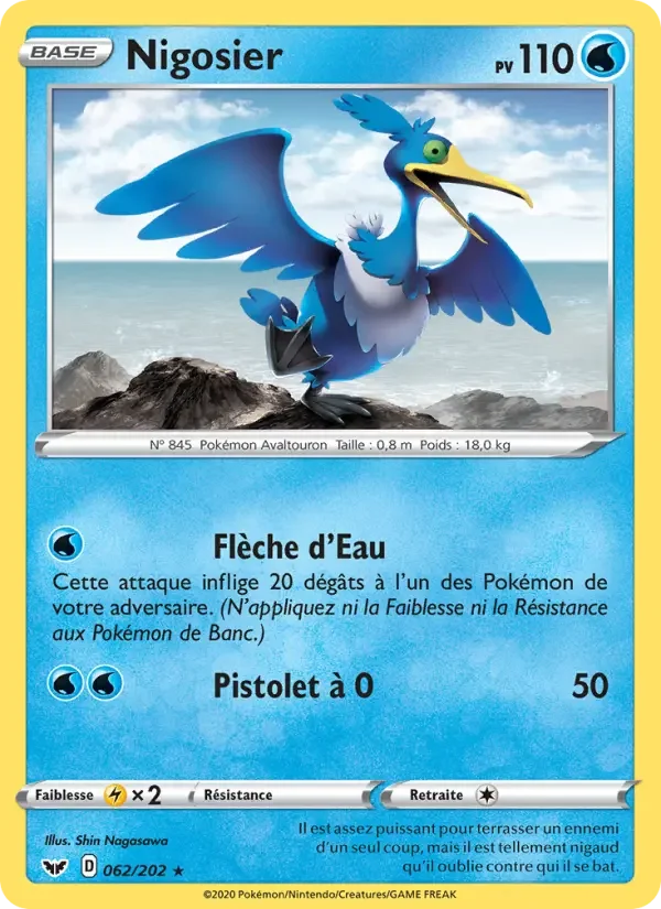 Carte Nigosier