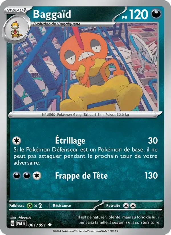 Carte Baggaïd