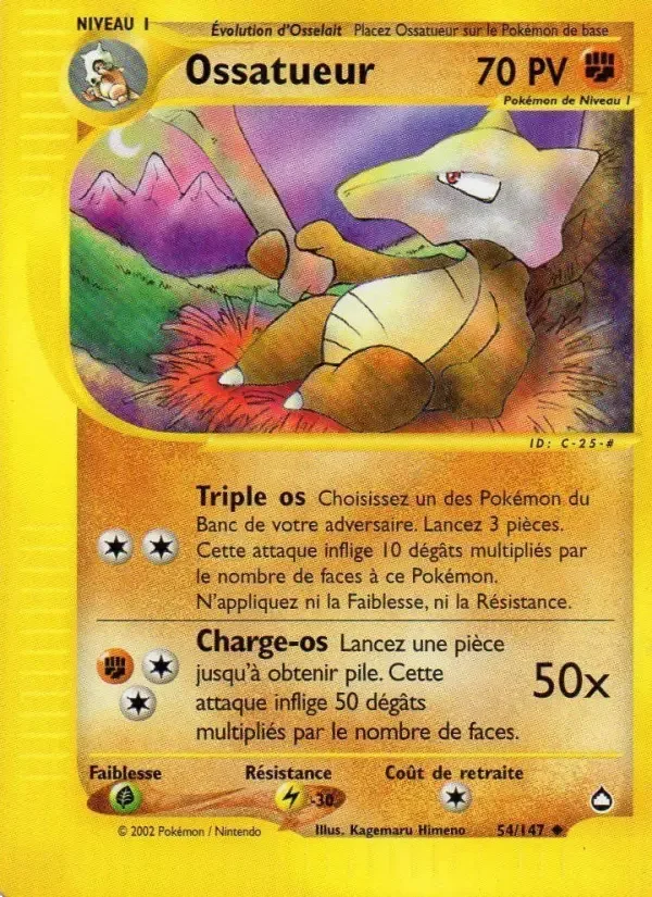 Carte Ossatueur