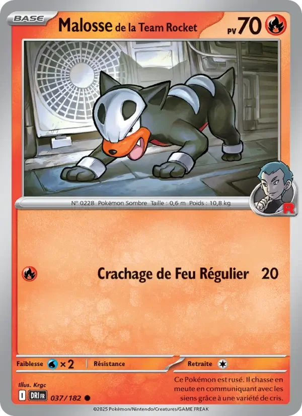 Carte Malosse de la Team Rocket