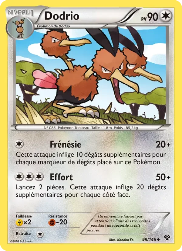 Carte Dodrio