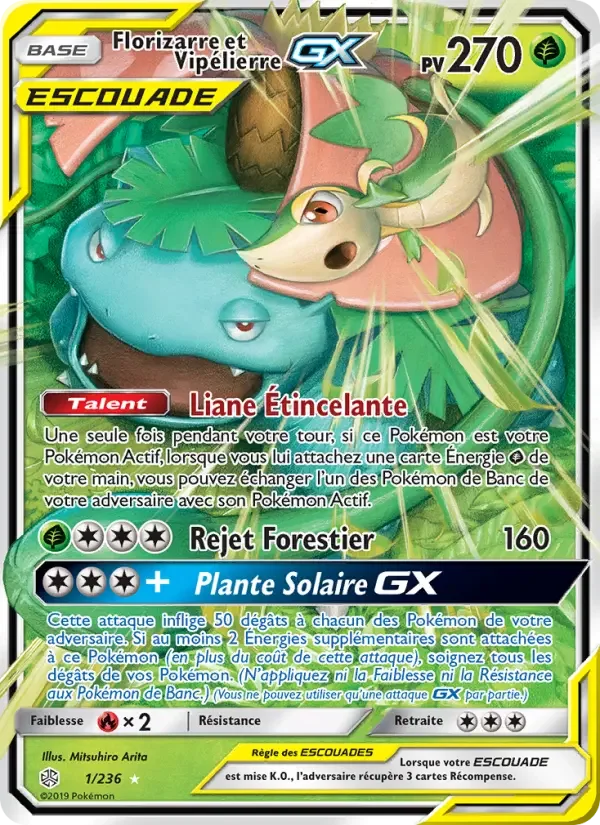 Carte Florizarre et Vipélierre GX