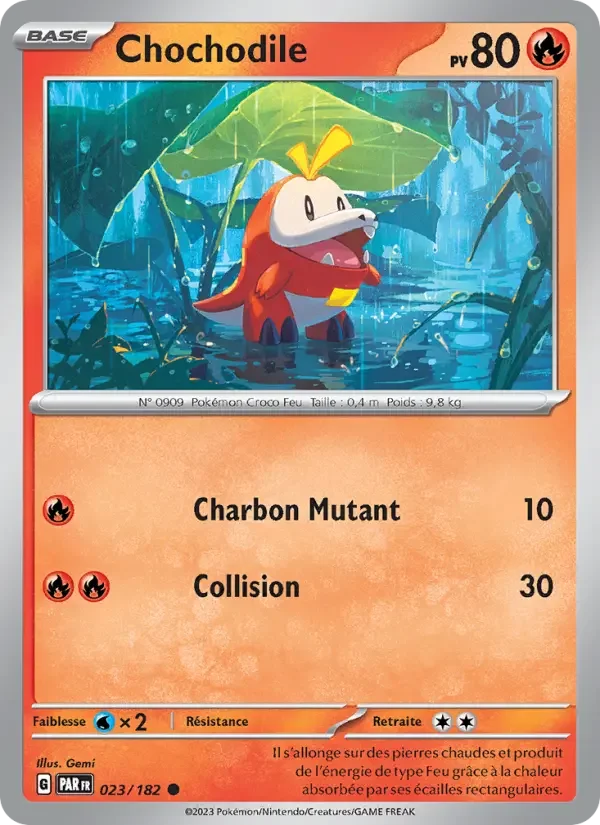 Carte Chochodile