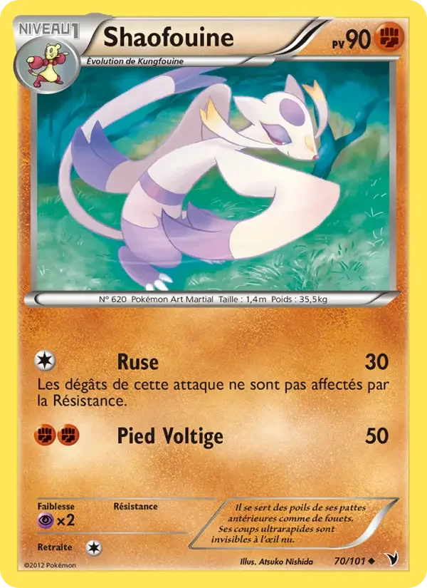 Carte Shaofouine