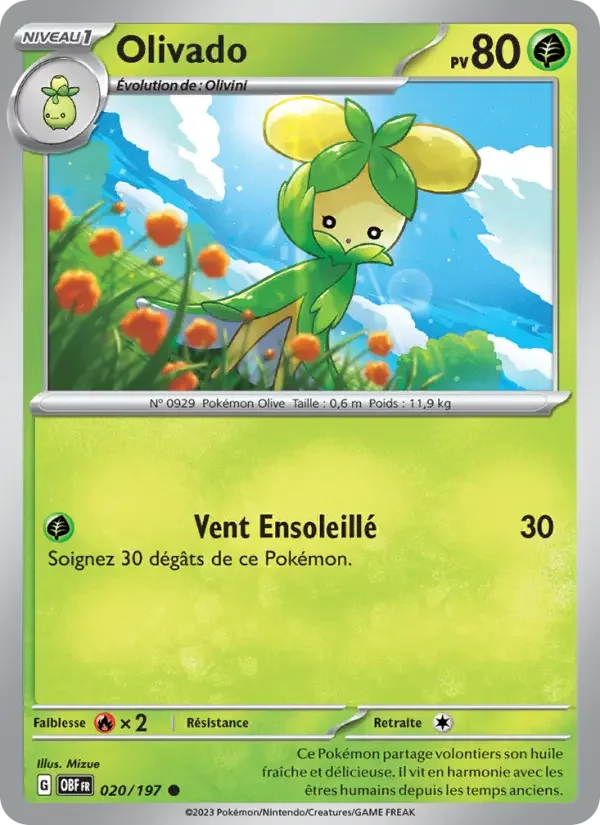 Carte Olivado
