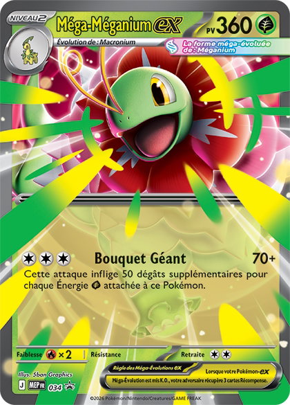 Carte Méga-Méganium-ex