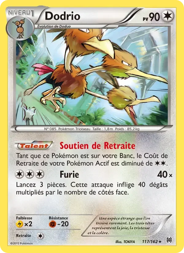 Carte Dodrio