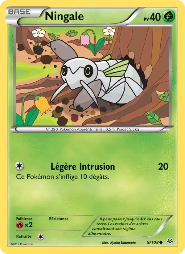 Carte Ningale