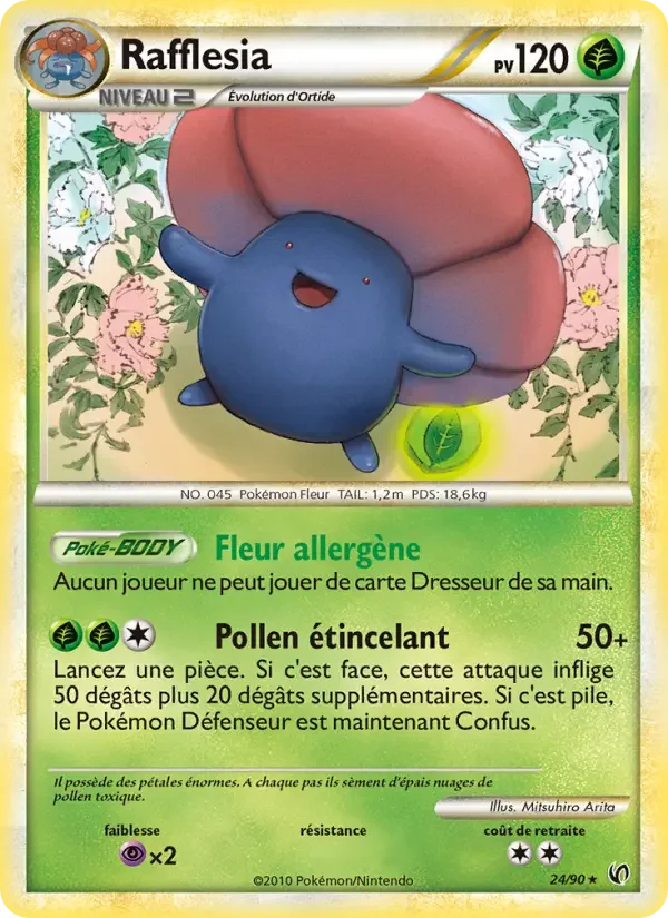 Carte Rafflesia