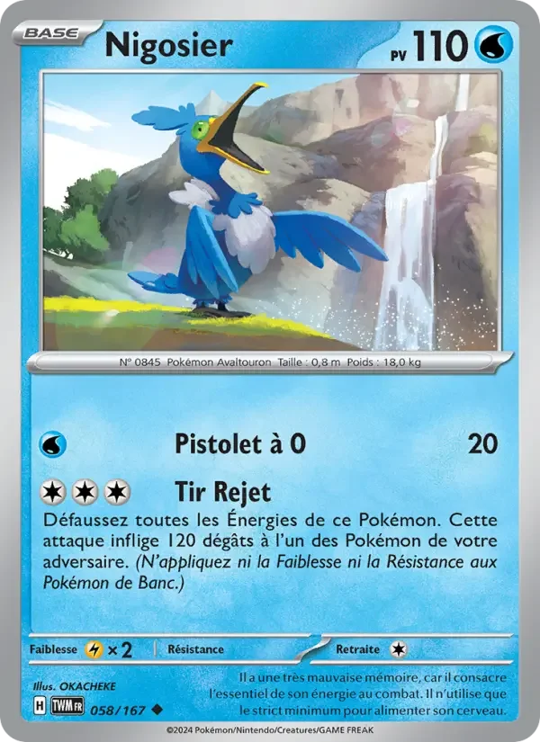 Carte Nigosier