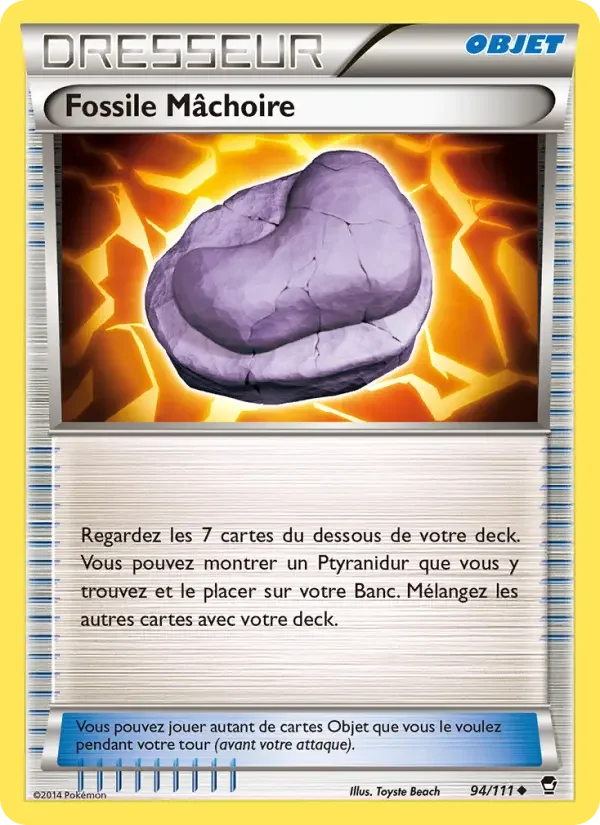 Carte Fossile Mâchoire