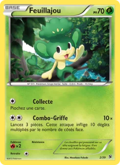 Carte Feuillajou