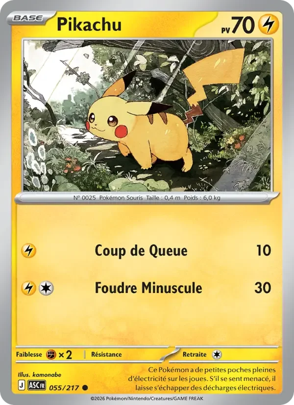 Carte Pikachu