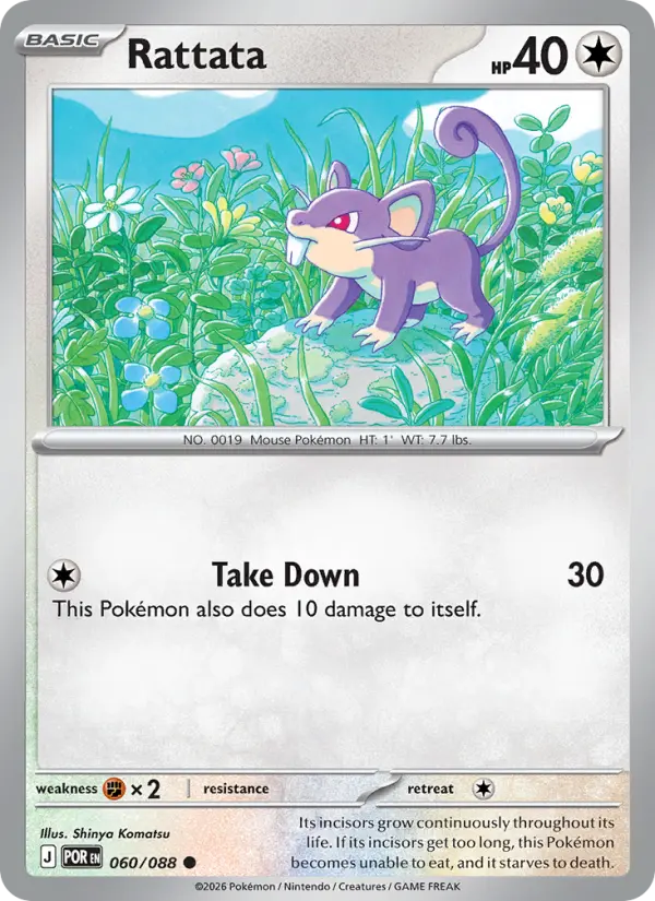Carte Pokémon Rattata — Équilibre Parfait