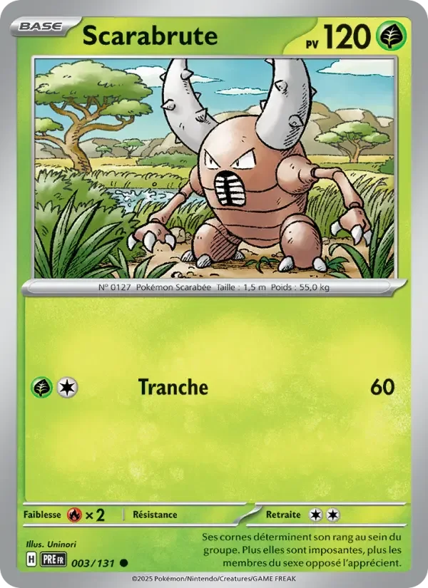 Carte Scarabrute
