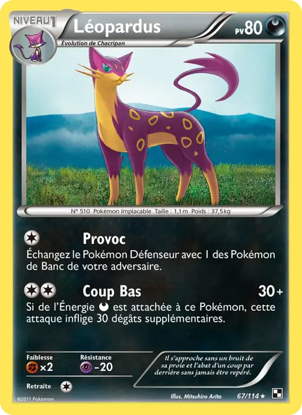 Carte Léopardus
