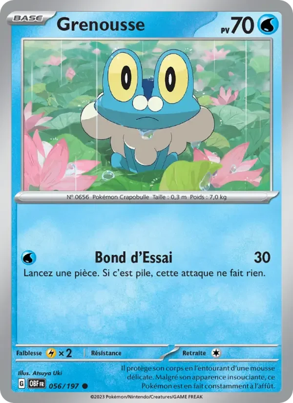 Carte Grenousse