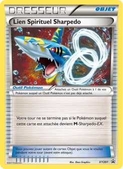 Carte Lien Spirituel Sharpedo