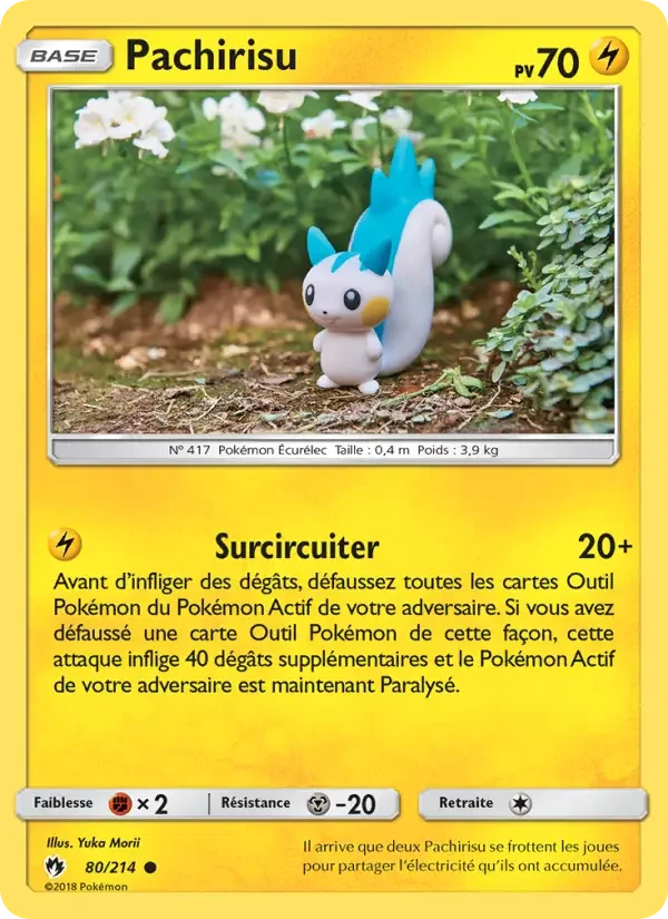Carte Pachirisu
