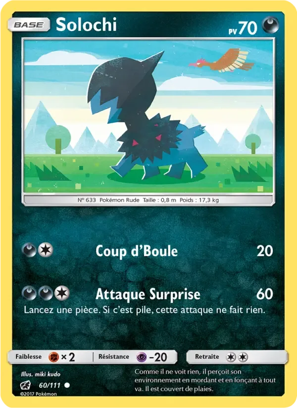 Carte Solochi