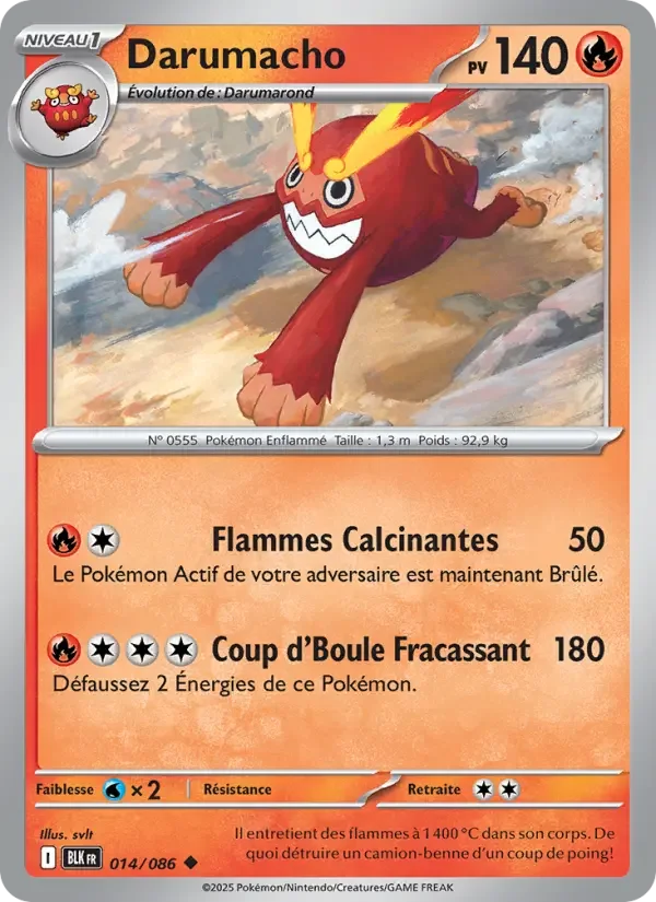 Carte Darumacho