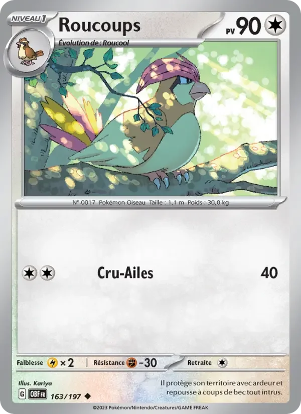 Carte Roucoups