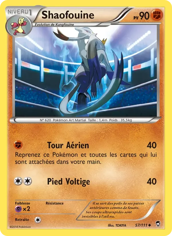 Carte Shaofouine