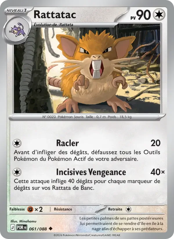 Carte Pokémon Rattatac — Équilibre Parfait