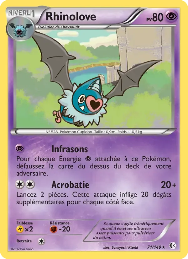 Carte Rhinolove