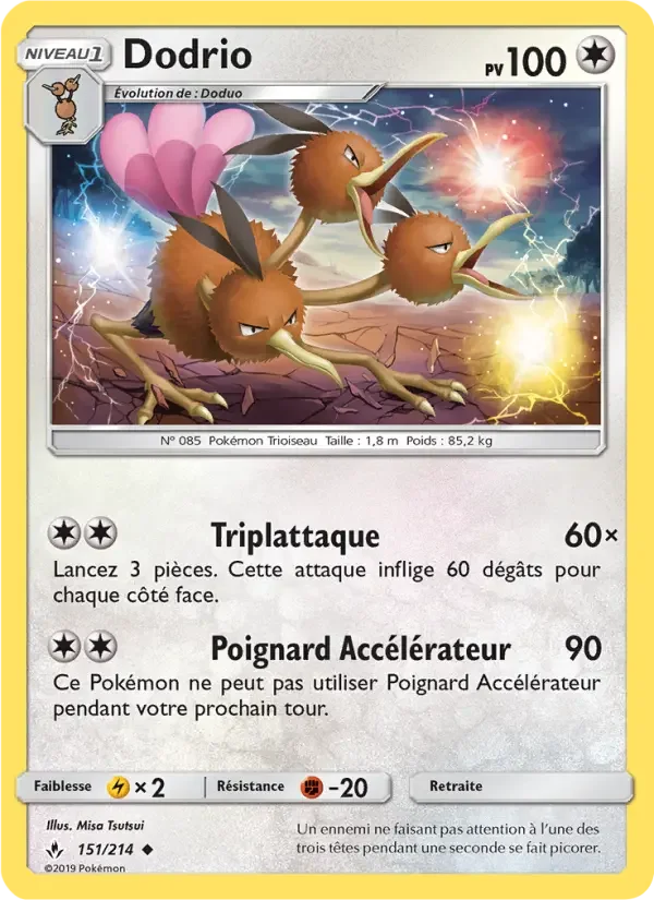 Carte Dodrio