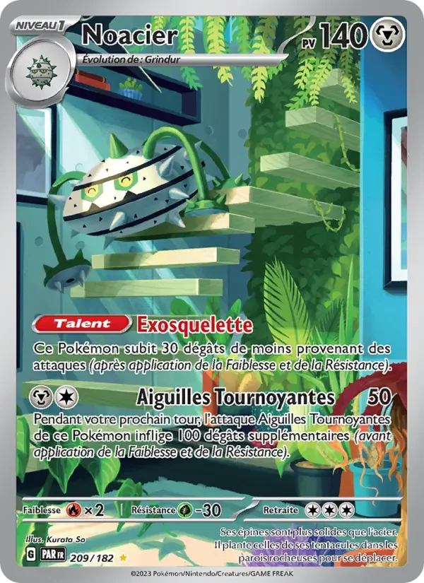 Carte Noacier