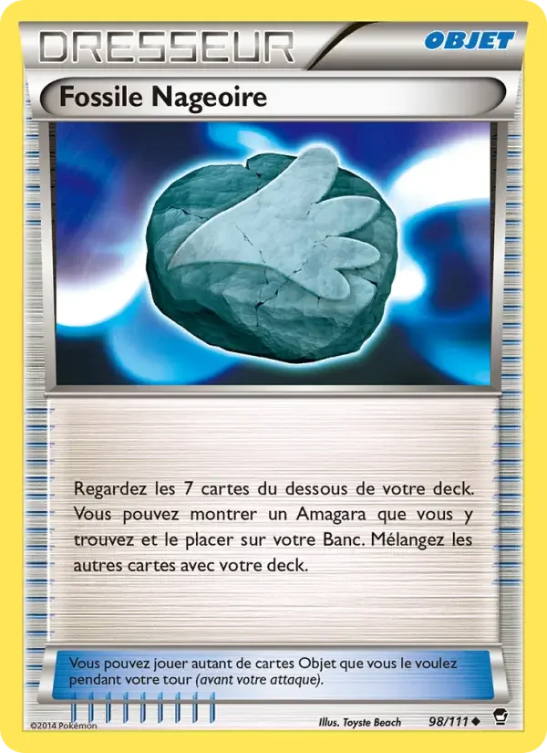 Carte Fossile Nageoire
