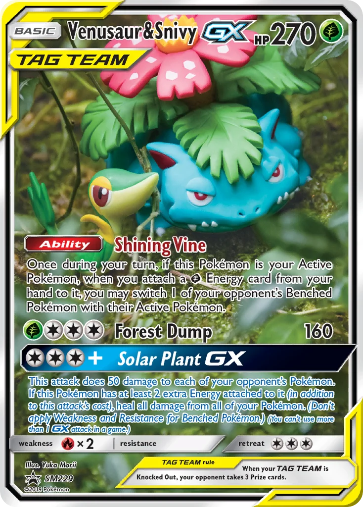 Carte Florizarre et Vipélierre GX