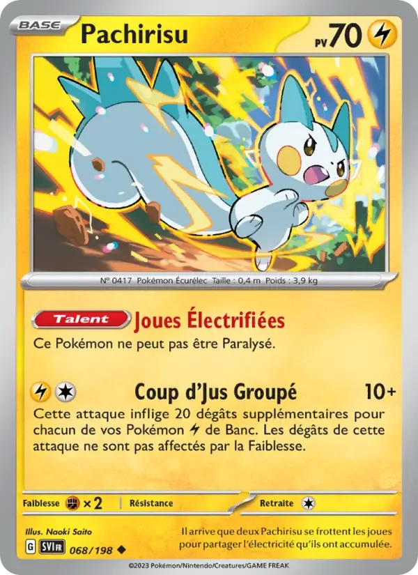 Carte Pachirisu