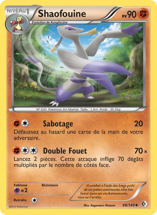 Carte Shaofouine