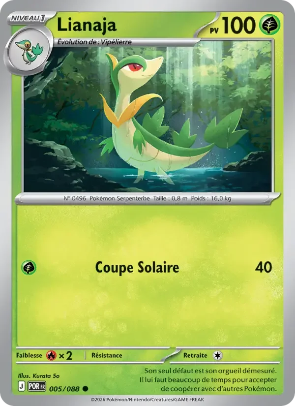 Carte Pokémon Lianaja — Équilibre Parfait